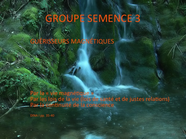 seedgroup3