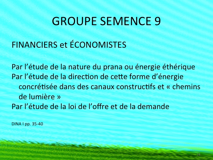 seedgroup9