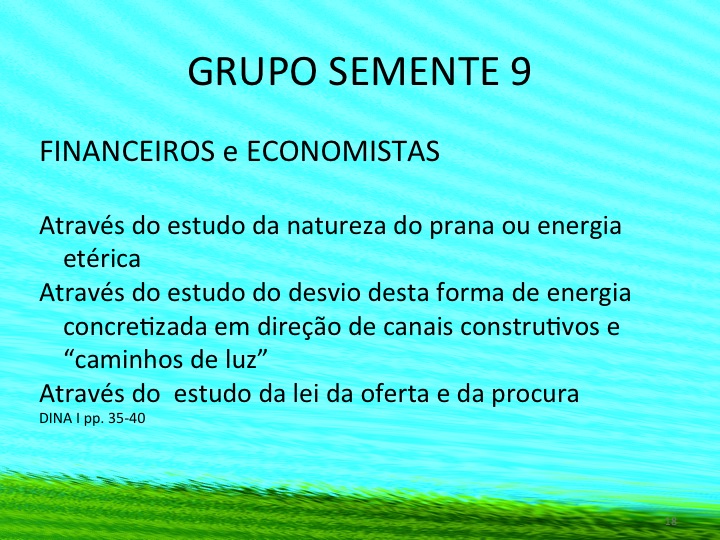 seedgroup9