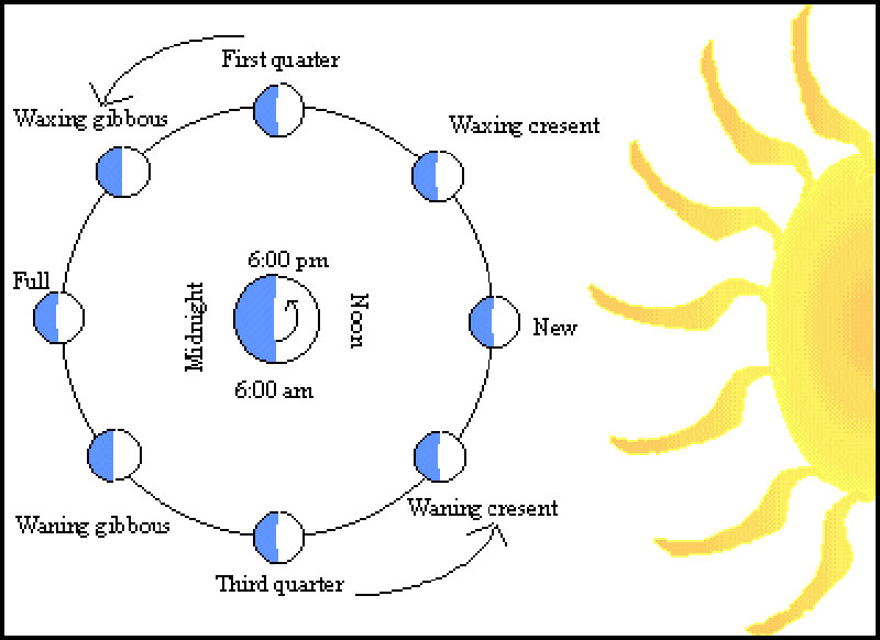 phases